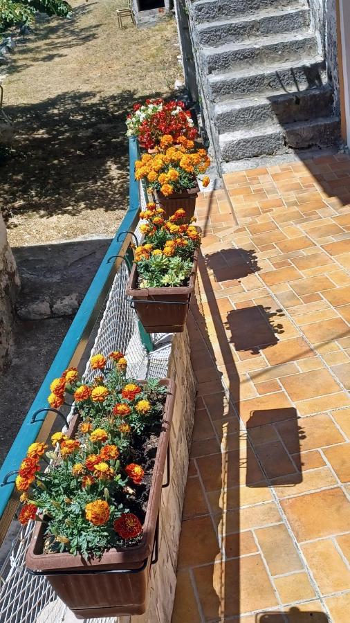 Holiday House Terezija บาชกาโวดา ภายนอก รูปภาพ